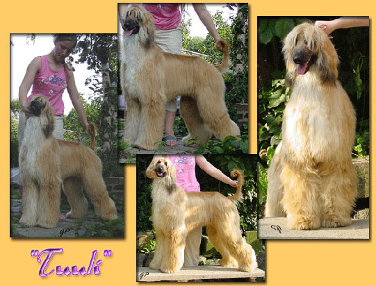 Tuuli pict. on June 8, 14 months old!